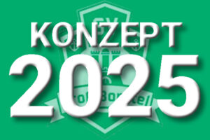 Konzept 2025 des SV Groß Borstel